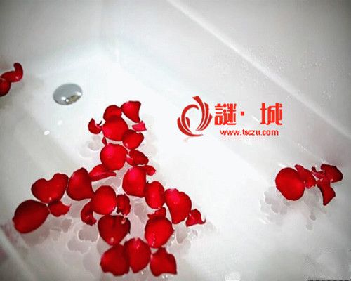 谜•城
