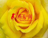]丝美阁(高端男士spa)